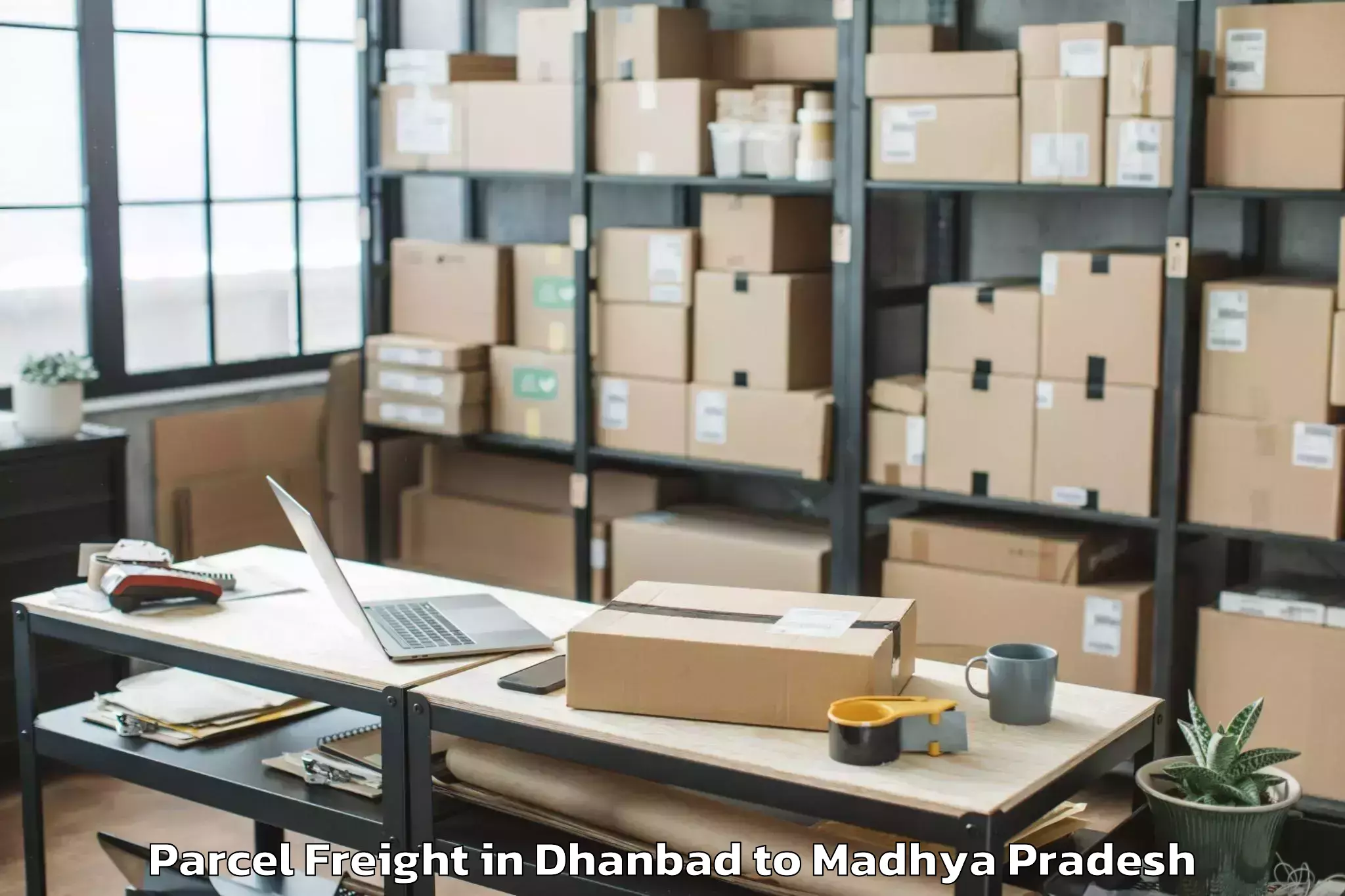 Quality Dhanbad to Raghogarh Vijaypur Parcel Freight